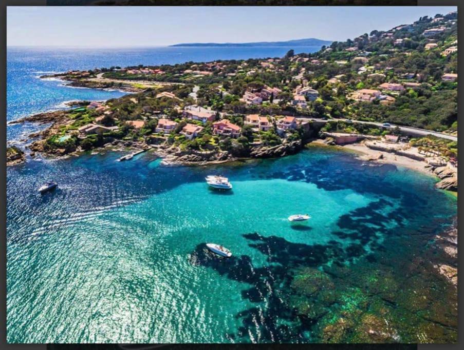 Villa Alisa Avec Piscine Privee 罗克布伦河畔阿尔让 外观 照片